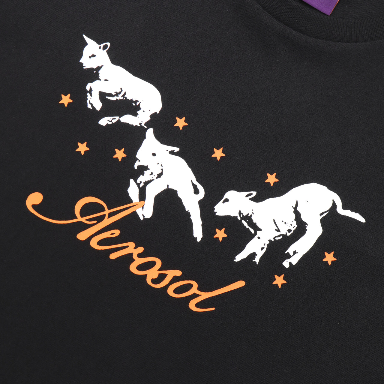 AEROSOL - FROLIC T-SHIRT - BLACK