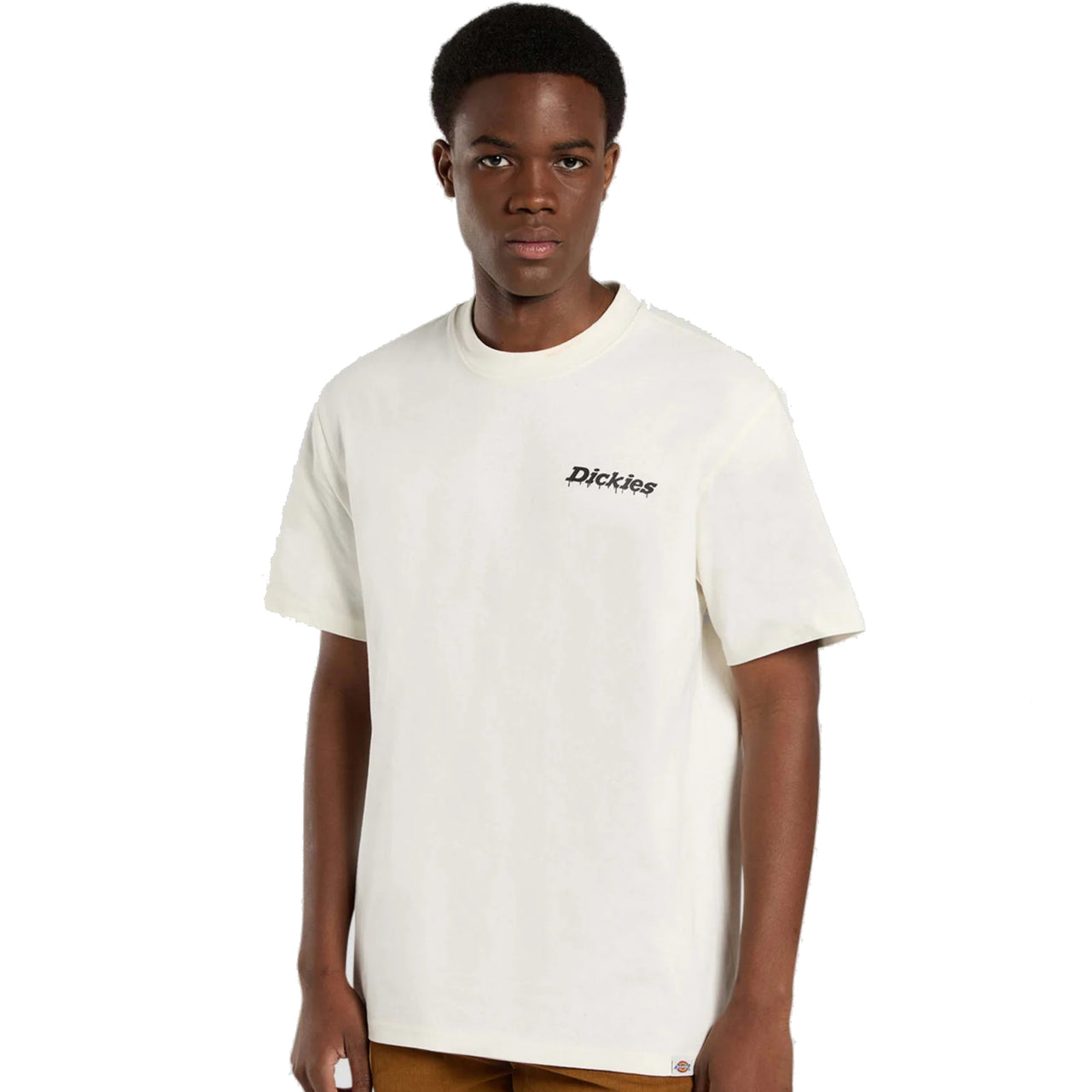 DICKIES - INDUSTRIAL ZONE TEE SS - EGRET